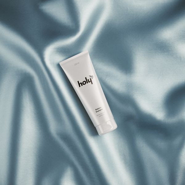 Шовковий кондиціонер - holy silk conditioner 250 мл HL06 фото